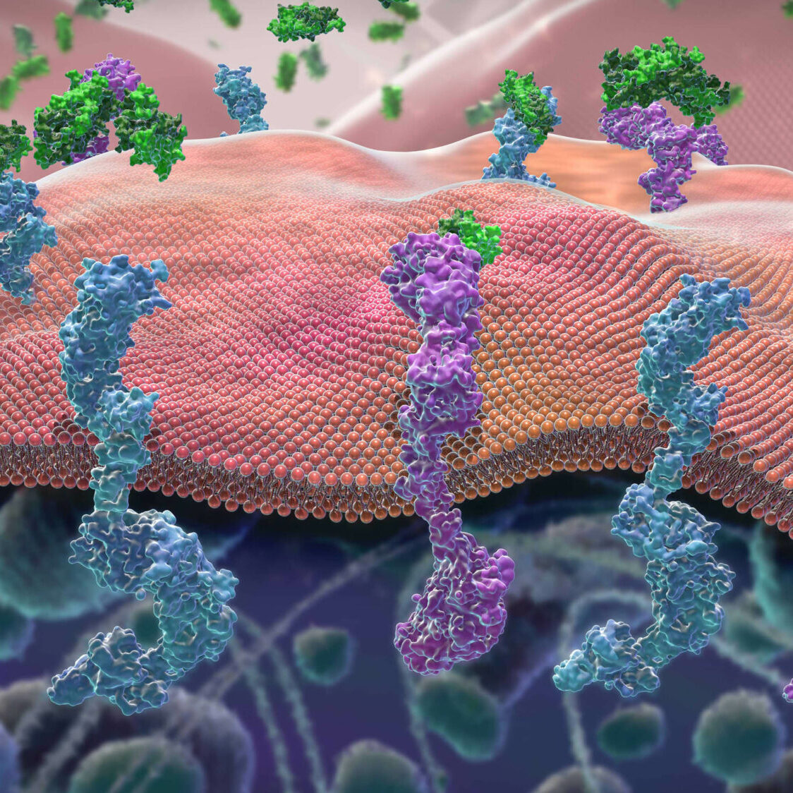 Novartis_Cosentyx_Web_1